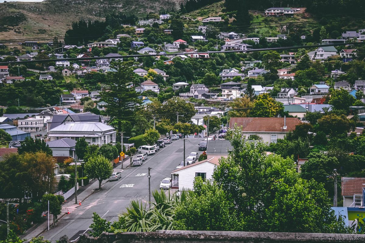 8 Auckland Home Rules You Probably Have Backwards