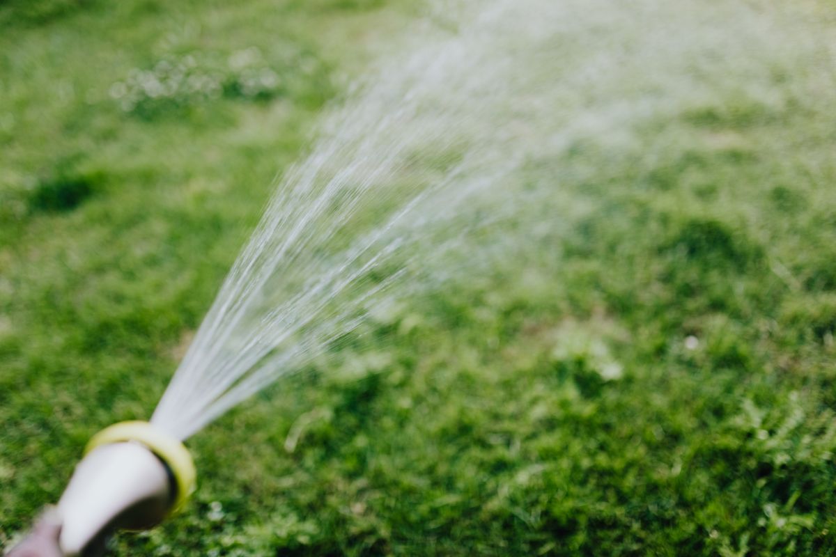 Watering Your Garden in Auckland: What the Restrictions Actually Say, and When They Apply