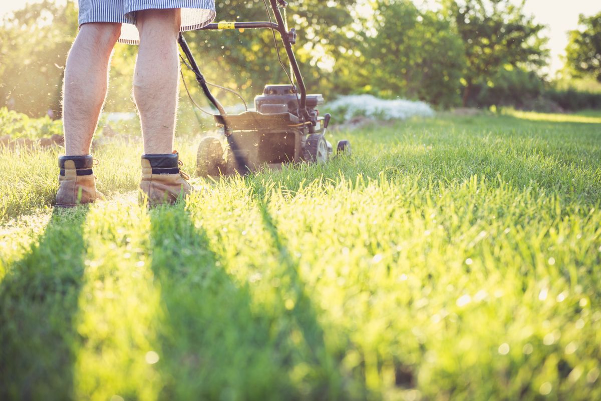Booking a Lawn Mowing Service in Auckland: What to Check Before You Say Yes