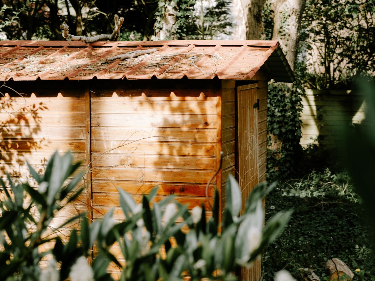 What You Can Actually Build Without a Building Consent in NZ