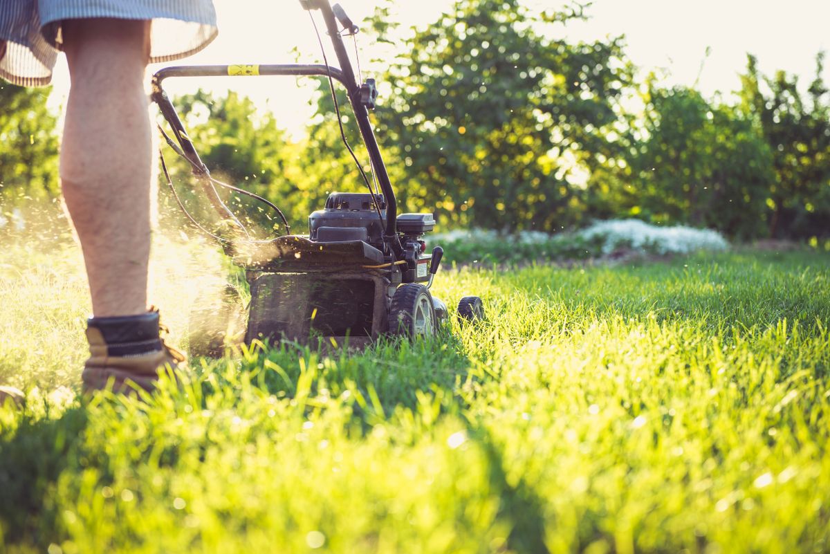 The Garden in a Rental: Whose Job Is It, Yours or the Landlord's?