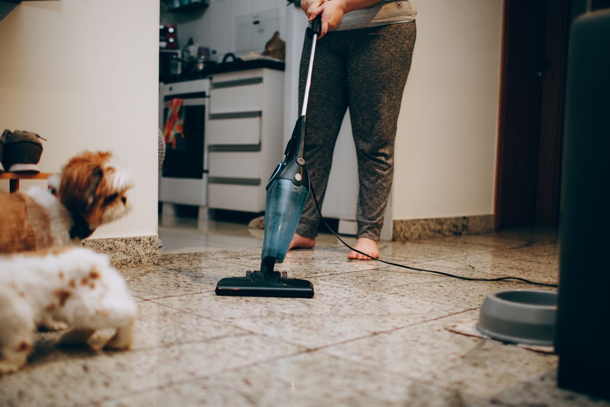 House Cleaning in Auckland: What Regular and Deep Cleans Actually Cost