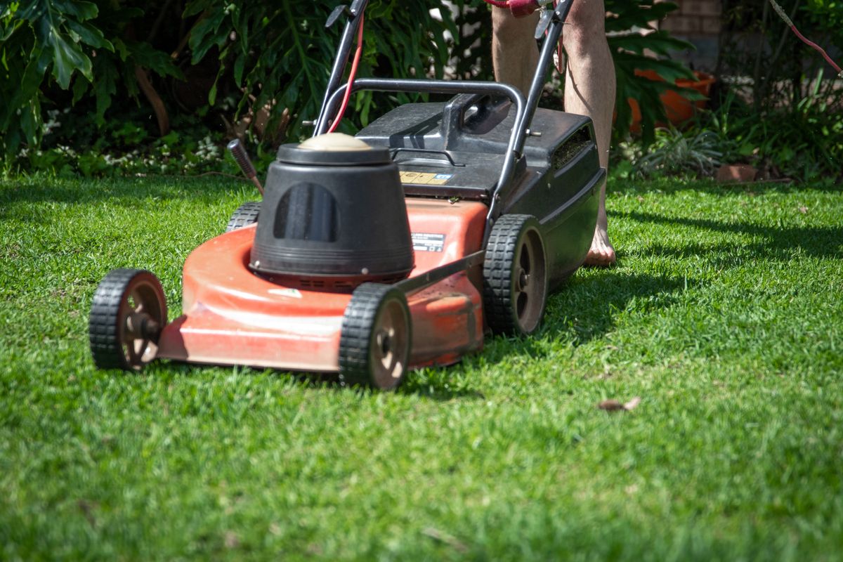 Lawn Mowing in Auckland: What It Actually Costs Per Visit and Per Year