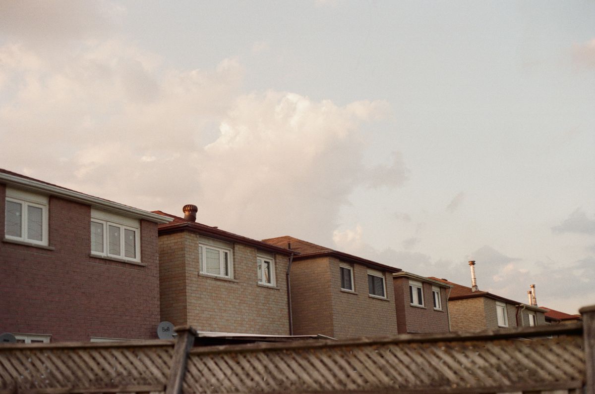 5 Neighbour Dispute Myths That Aren't Actually New Zealand Law